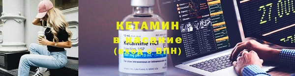 стафф Заводоуковск
