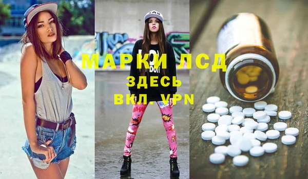 стафф Заводоуковск