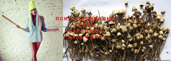 кокс Заволжье