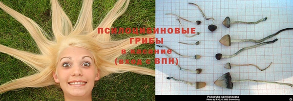mdpv Заволжск