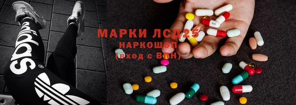 стафф Заводоуковск