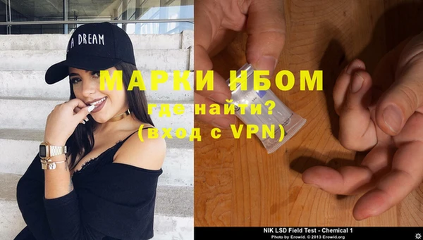 стафф Заводоуковск